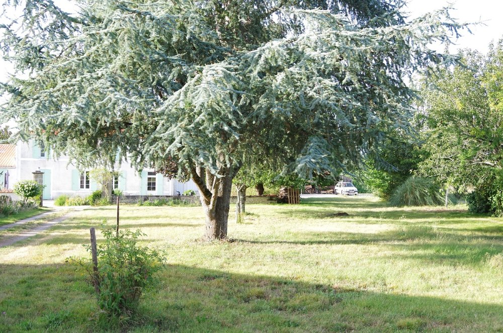 Aire camping-car  Tonnay-Charente (17430) - Photo 1